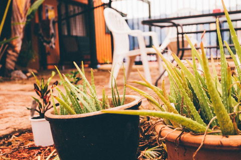 JJs Backpackers Hostel - Holiday Adelaide 2