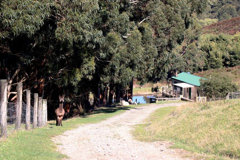 Johanna River Farm & Cottages - Holiday Adelaide 1