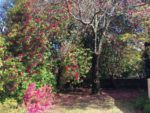 Kookaburra Cottage - Holiday Adelaide 1