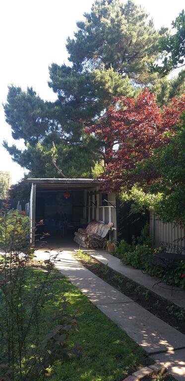 Large Groups Peaceful Happy Home - Holiday Adelaide 2