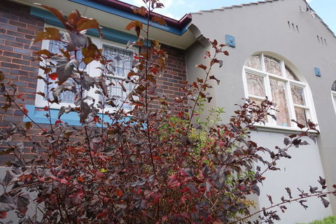 Lurline Villas - Holiday Adelaide 2