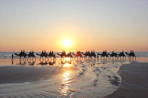 Luxury Executive Apartment At Broome Cable Beach - Holiday Adelaide 1