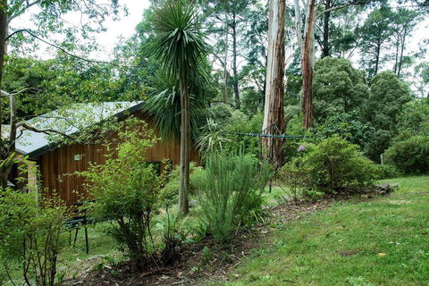 Luxury Forest Retreat - Puffing Billy - Holiday Adelaide 2