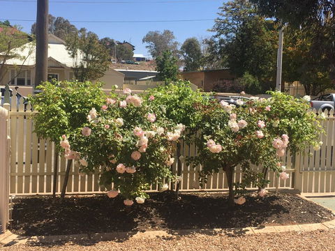 Maeville Cottage - Holiday Adelaide 3