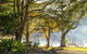 Maleny Lake Cottages-Guesthouse - thumb 2
