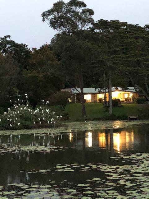 Maleny Lake Cottages-Guesthouse - Holiday Adelaide 3