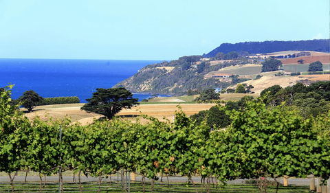Mallavale Farm, Boat Harbour - Holiday Adelaide 0