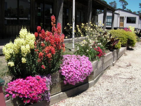 Mansfield Holiday Park - Holiday Adelaide 3