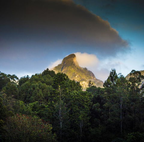 Mavis's Cabins @ Mt Warning - Holiday Adelaide 1