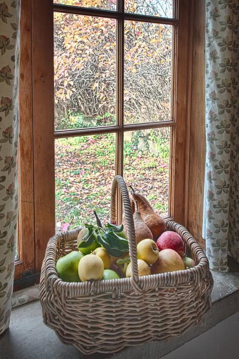 McCauley's Cottage - Holiday Adelaide 3