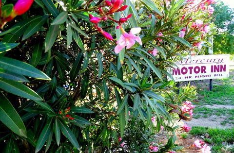 Mercury Motor Inn - Holiday Adelaide 0