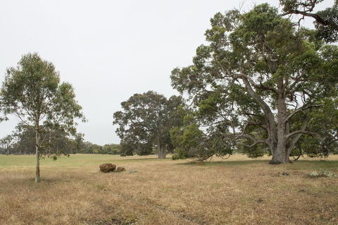 Metricup House - Elegant Country Retreat - Holiday Adelaide 2