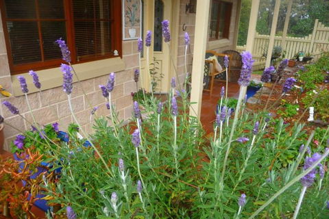 Mountain Escape - Holiday Adelaide 2