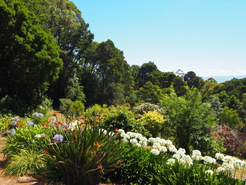 Murrindindi - Holiday Adelaide 0