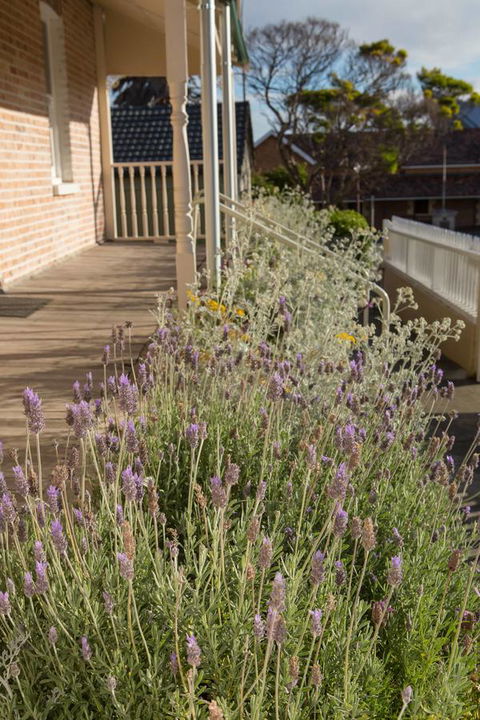 Spencer Cottage - Holiday Adelaide 11