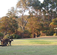 Riverside Retreat Chalets Walpole - Holiday Adelaide