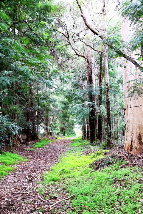Treenbrook Cottages - Holiday Adelaide 12