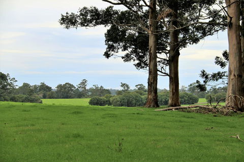 Treenbrook Cottages - Holiday Adelaide 11