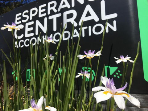Esperance Central Accommodation - Holiday Adelaide 0
