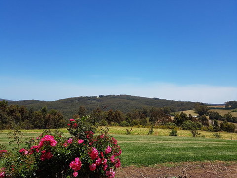 Karri Aura - Holiday Adelaide 9