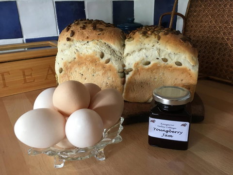 Kangaroo Valley Cottage - Holiday Adelaide 14