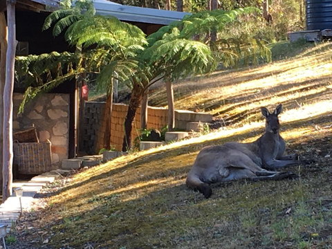 Kangaroo Valley Cottage - Holiday Adelaide 3