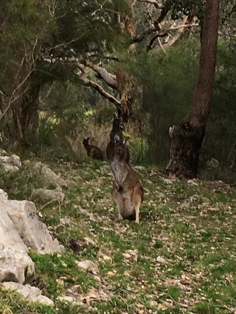 Kangaroo Valley Cottage - Holiday Adelaide 17