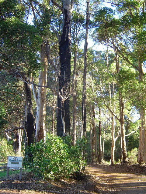 Kangaroo Valley Cottage - Holiday Adelaide 21