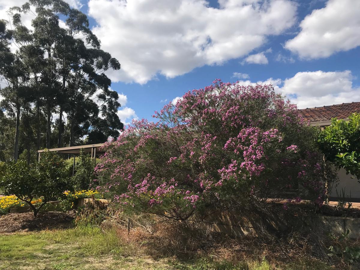 Beeliar WA Holiday Adelaide