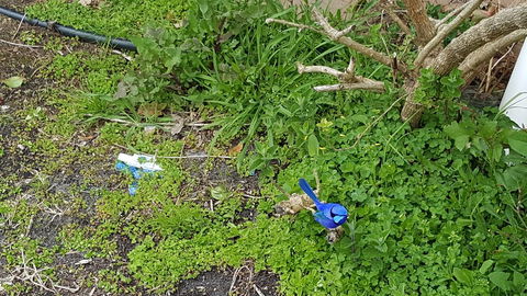 Abbivale Farm Cottage - Holiday Adelaide 17