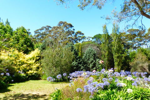 Innisfree Mountain Retreat - Holiday Adelaide 1