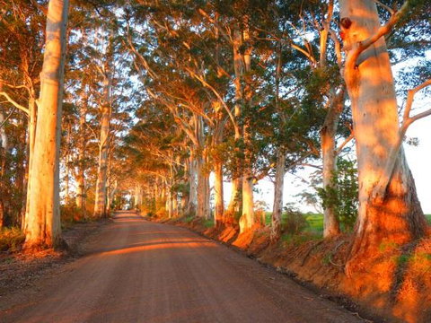 Innisfree Mountain Retreat - Holiday Adelaide 10