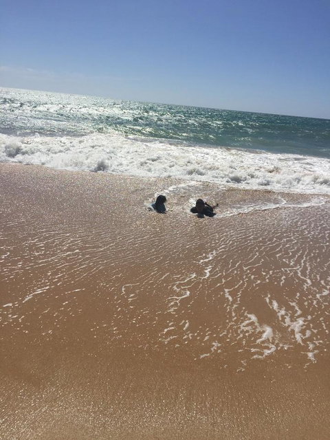 Beach House At SeaScapes.. - Holiday Adelaide 30