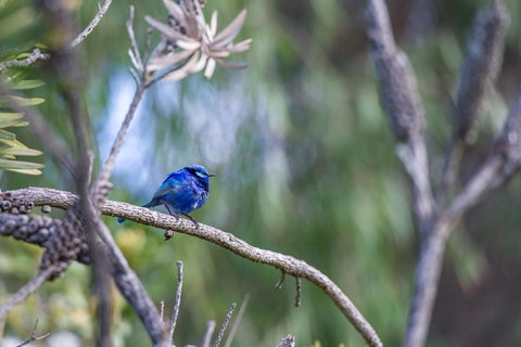 Surfside Ocean Beach Denmark Holiday Accommodation - Holiday Adelaide 3