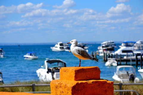 Palms Bed & Breakfast - Holiday Adelaide 25