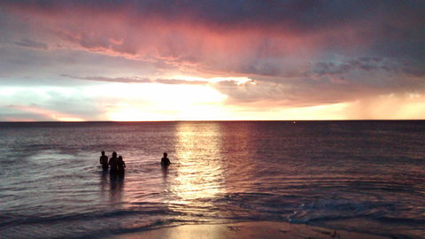 Palms Bed & Breakfast - Holiday Adelaide 24