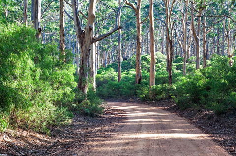Margaret River Retreat - Holiday Adelaide 20