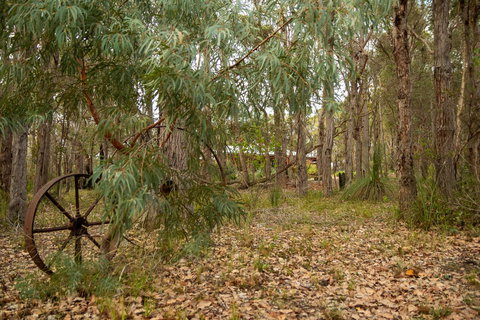 Denmark Forest Retreat - Holiday Adelaide 5