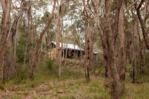 Denmark Forest Retreat - Holiday Adelaide 27