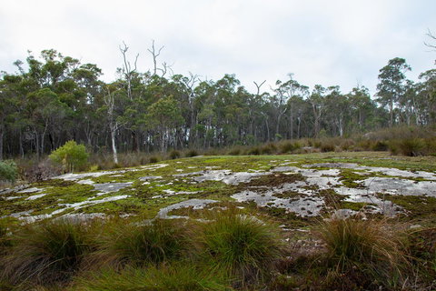 Denmark Forest Retreat - Holiday Adelaide 26