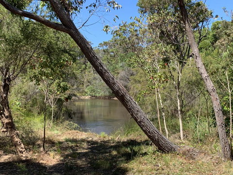 Denmark Forest Retreat - Holiday Adelaide 32