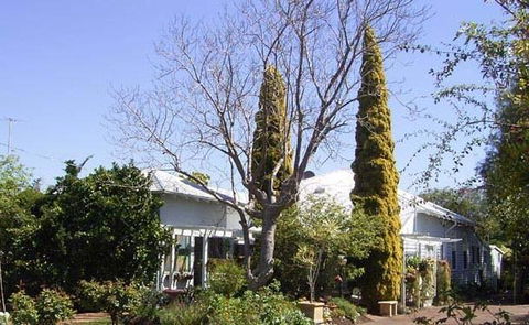 Jacaranda Guest House - Holiday Adelaide 37