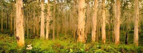 Indoyo Retreat - Holiday Adelaide 34