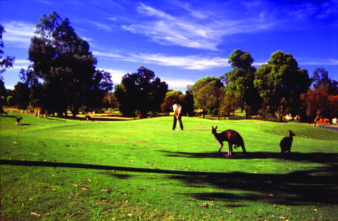Novotel Vines Resort Swan Valley - Holiday Adelaide 3