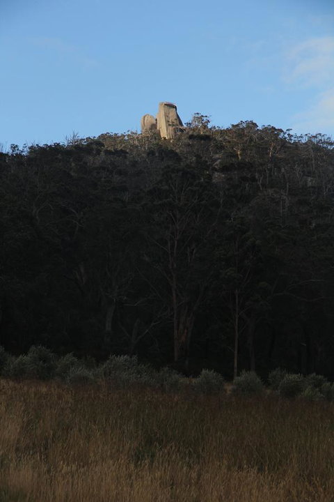 Tanen Farm - Holiday Adelaide 9