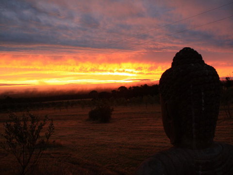 Tanen Farm - Holiday Adelaide 12