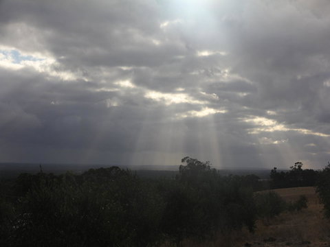 Tanen Farm - Holiday Adelaide 13