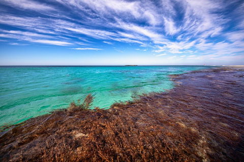 Discovery Resorts - Rottnest Island - Holiday Adelaide 24