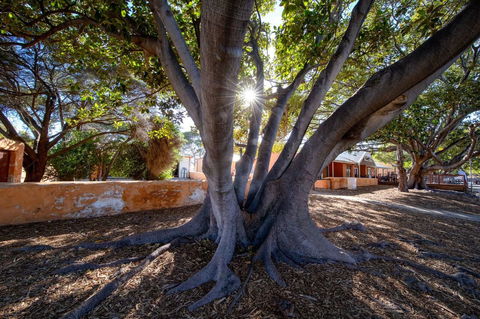 Discovery Resorts - Rottnest Island - Holiday Adelaide 23