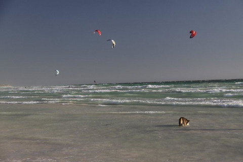 Dongara Tourist Park - Holiday Adelaide 33